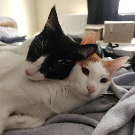 Photo de Pacha et Bernard