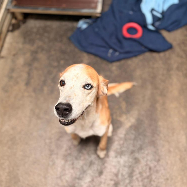 Wendy