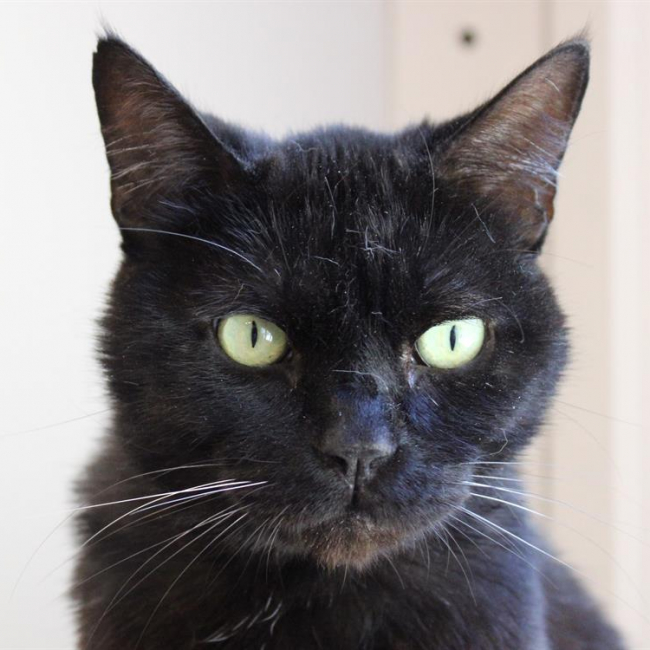 Photo de Bébé noir
