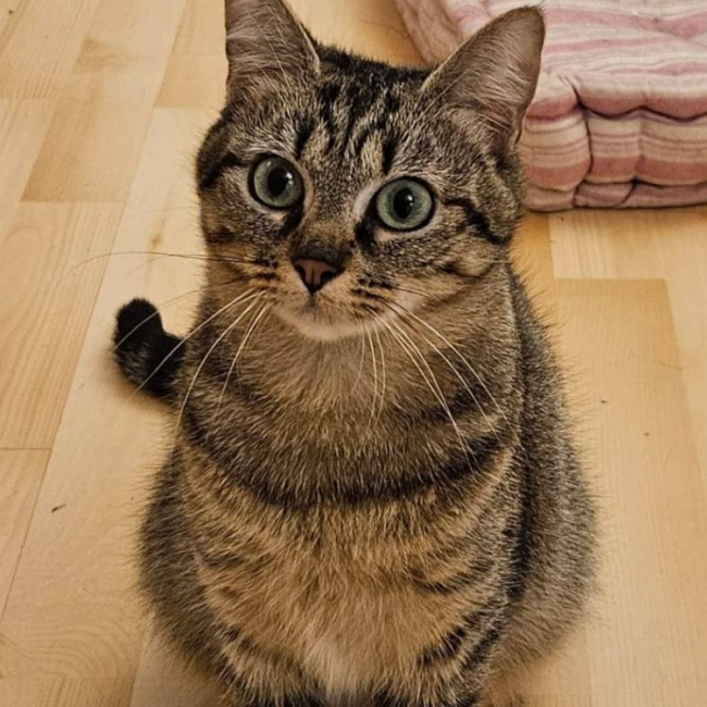 Photo de Zai