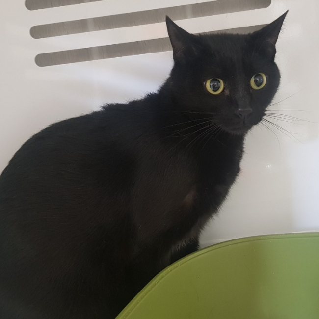 Photo de Mia