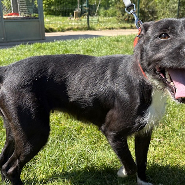 Photo de Queen