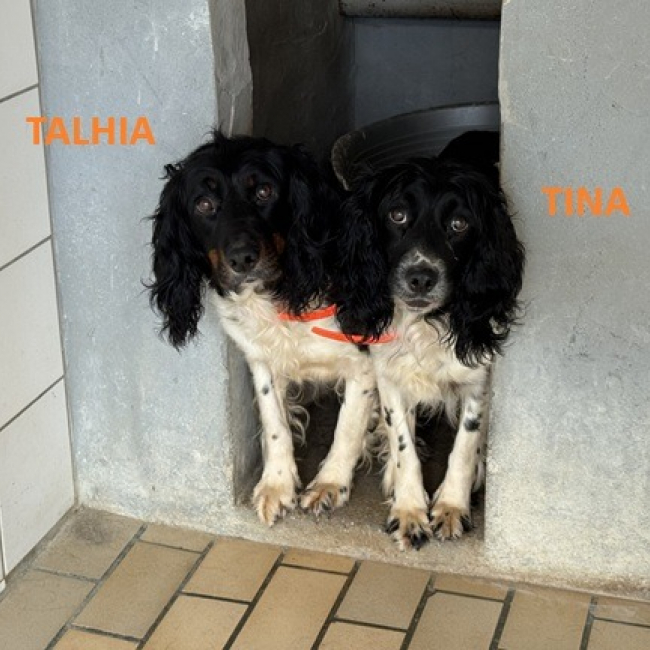 Photo de Tina