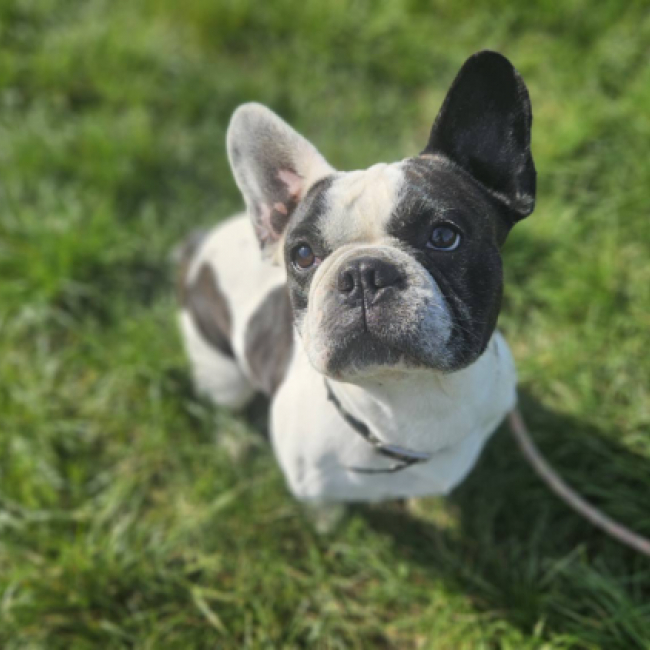 Photo de Paco