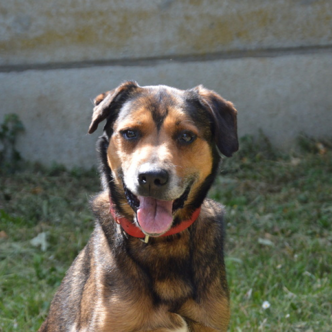 Photo de MaloÏ