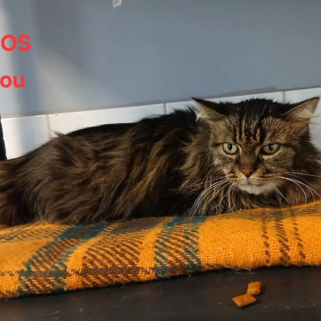 Photo de Lilou