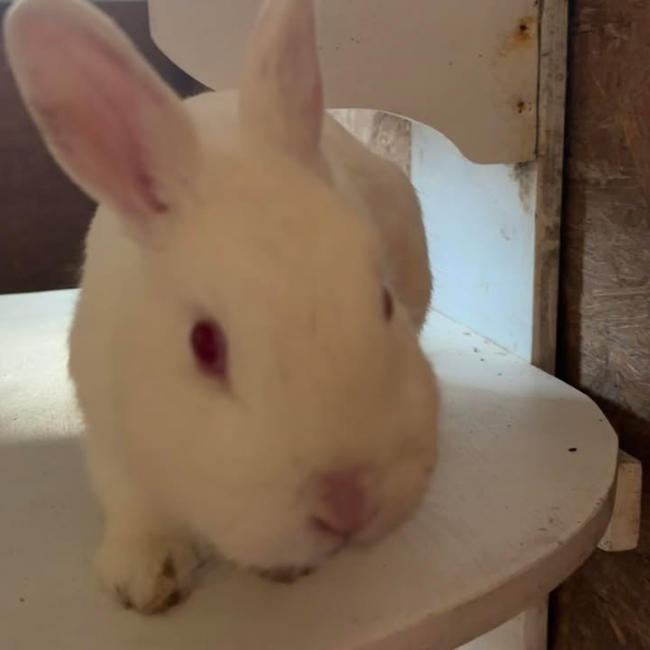 Photo de Azélie