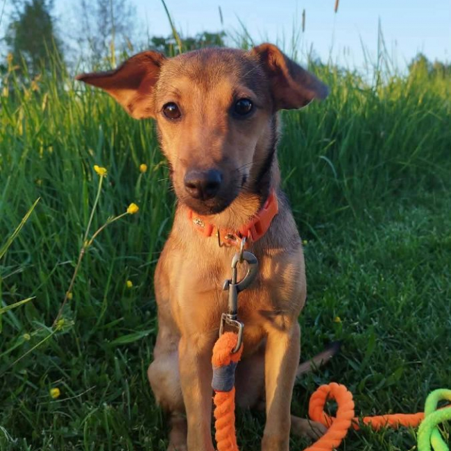 Photo de Zélie