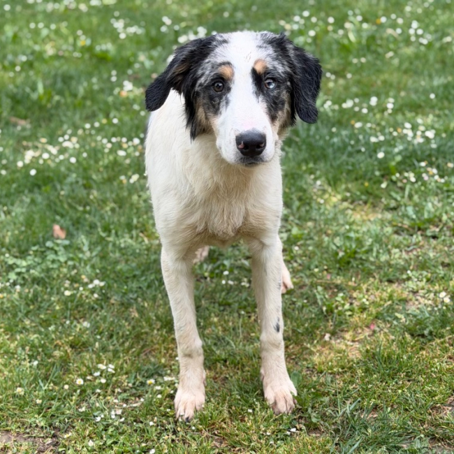 Photo de Zuko