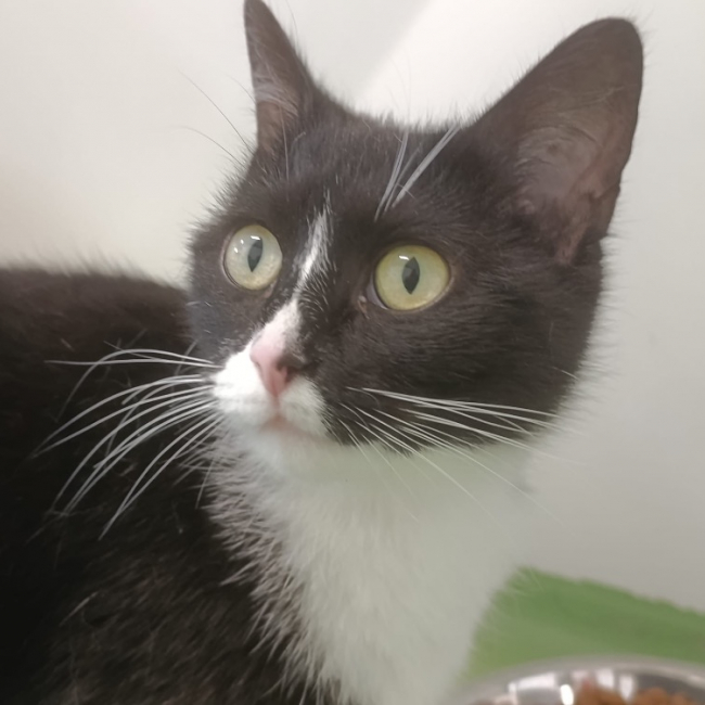 Photo de Osaka