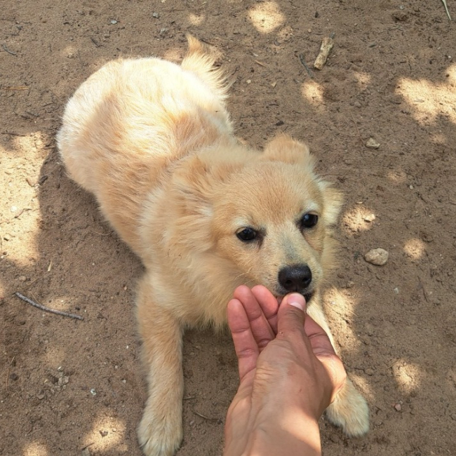Photo de Odin