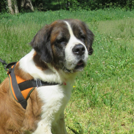 Photo de Missie