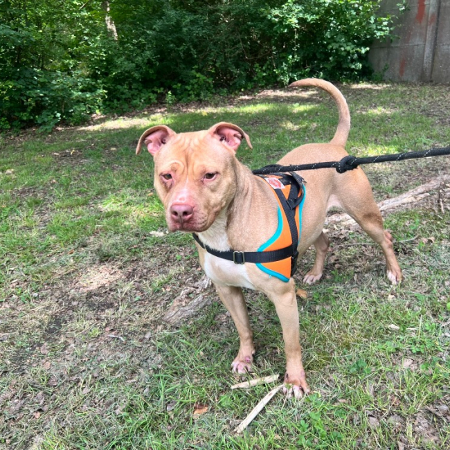 Photo de Nala