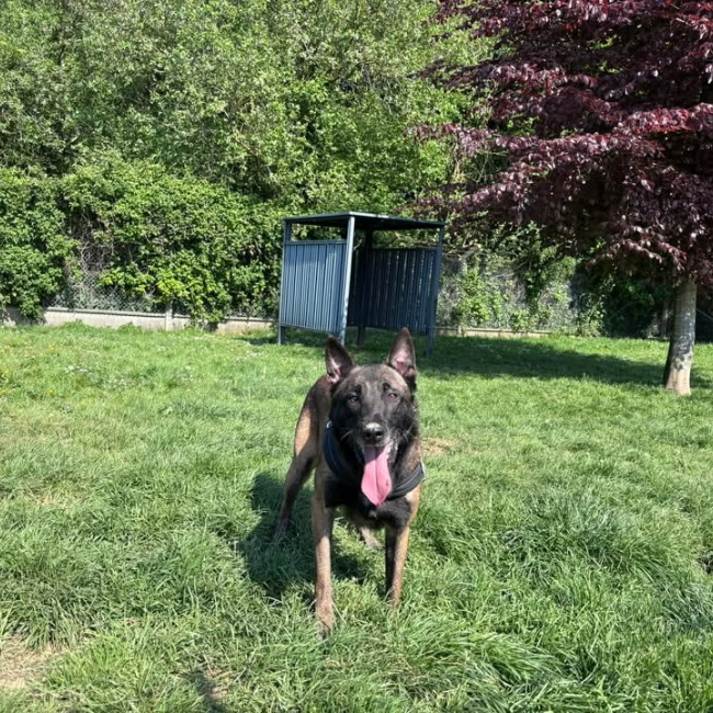 Photo de Olaf