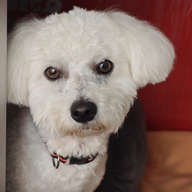 Photo de Charly