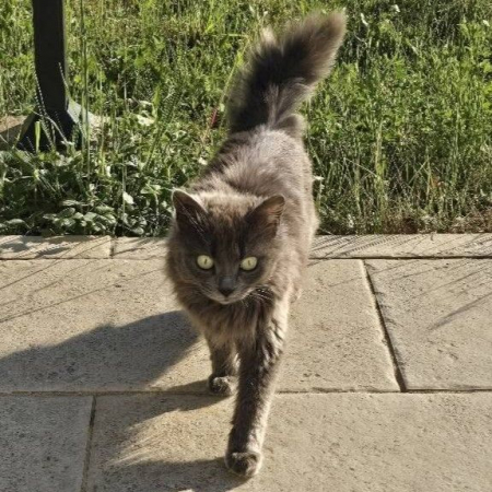 Photo de Olga