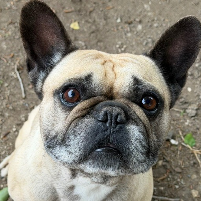 Photo de Paco