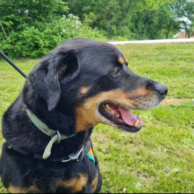 Marley