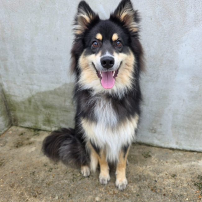 Photo de Athos