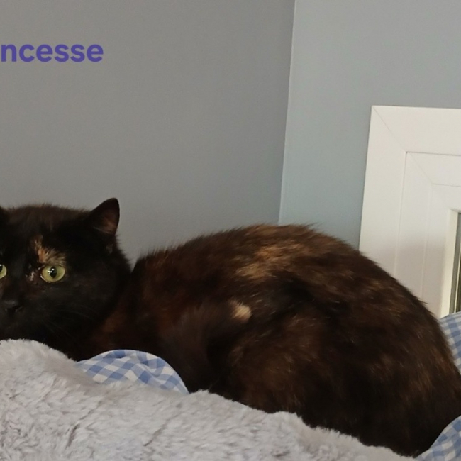 Photo de Princesse