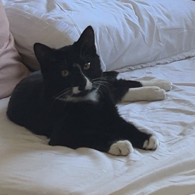 Photo de Oliver