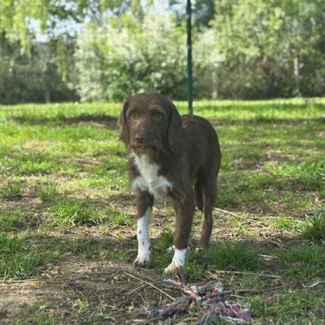 Photo de Moka