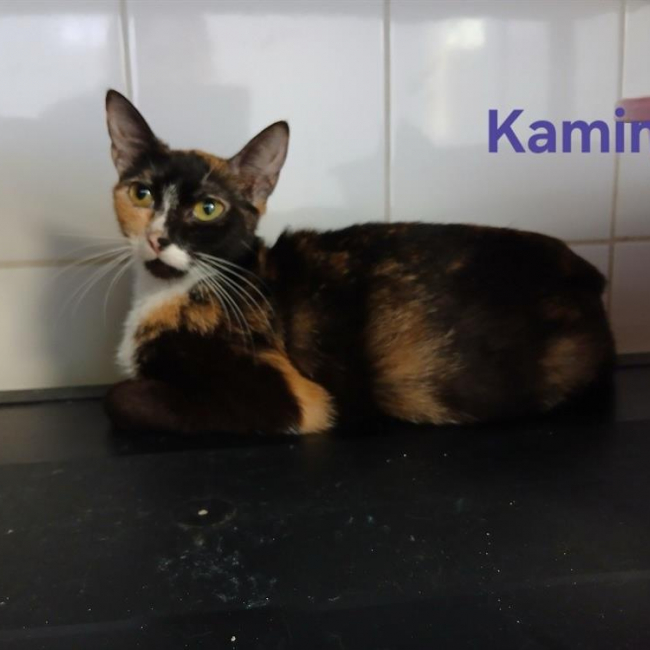 Photo de Kamina