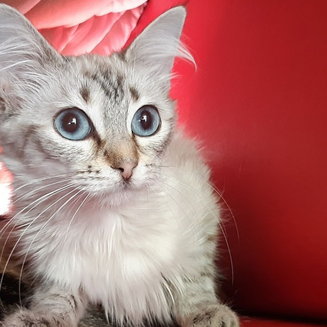 Photo de Mabiche
