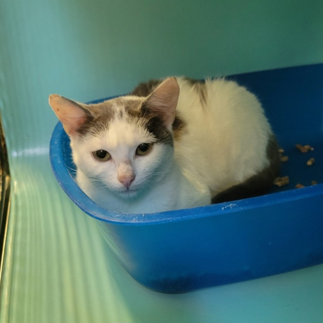 Photo de Miminou