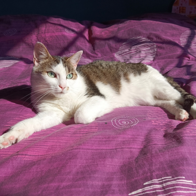 Photo de Romy
