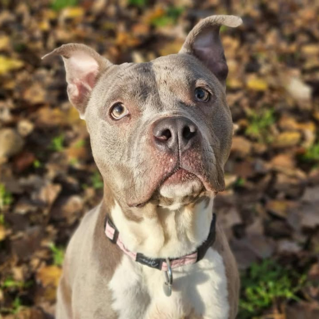 Photo de Athena