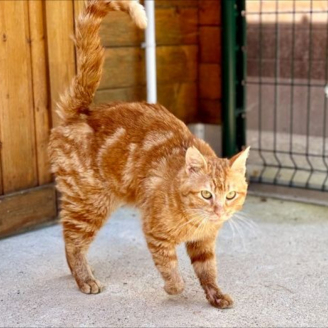 Photo de Rousseau