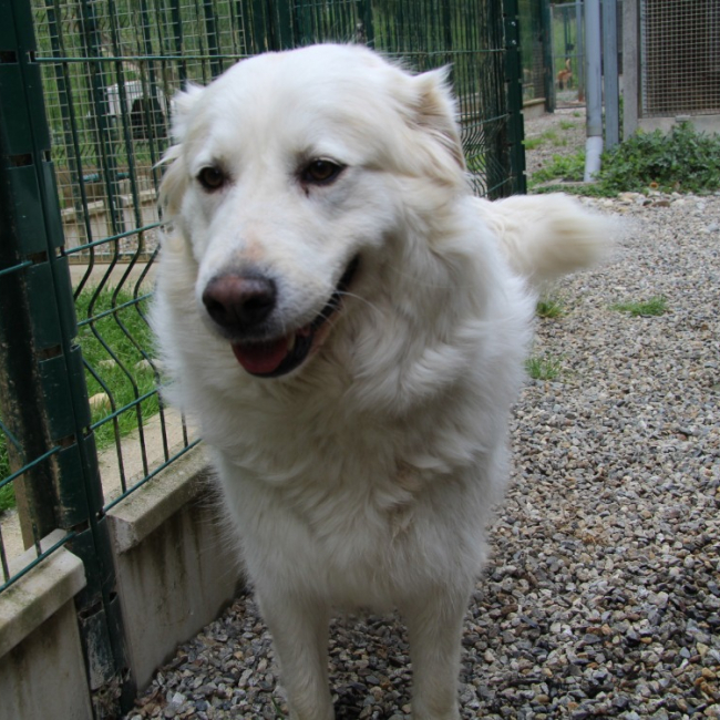 Photo de Puxka