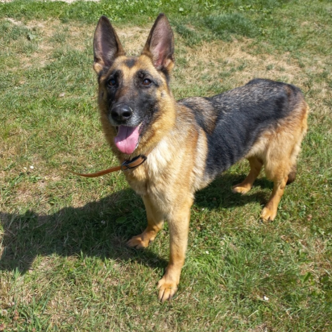 Photo de Kira