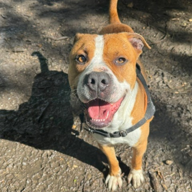 Photo de Kai