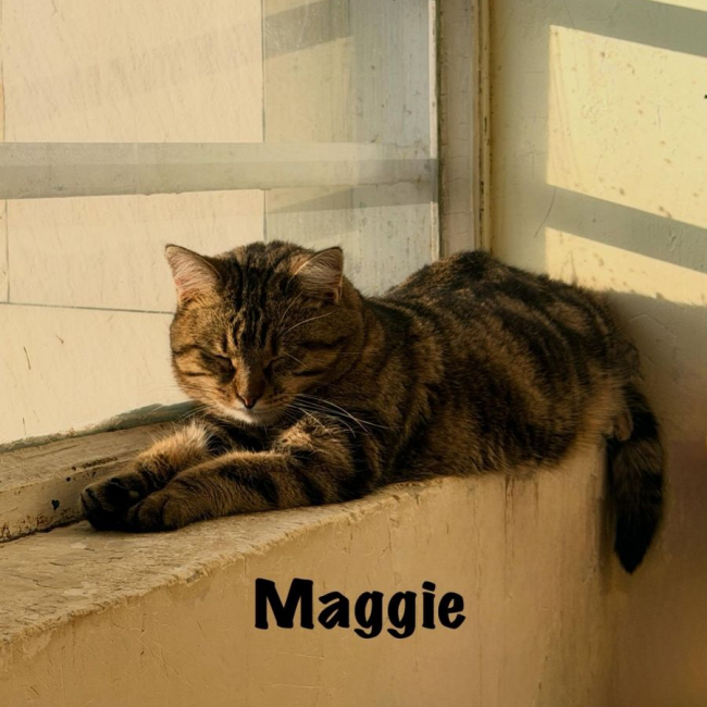 Photo de MAGGIE