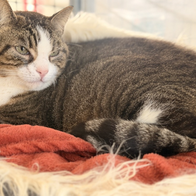 Photo de Titou