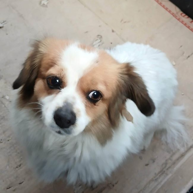 Photo de Rosita