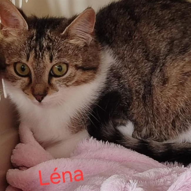 Léna