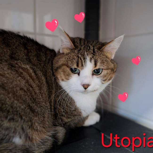 Utopia