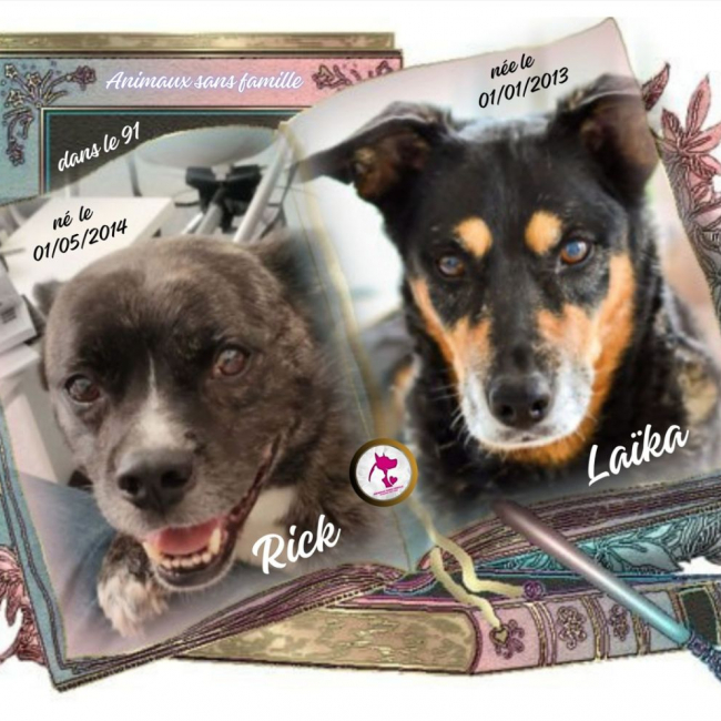 Photo de Rick & Laïka