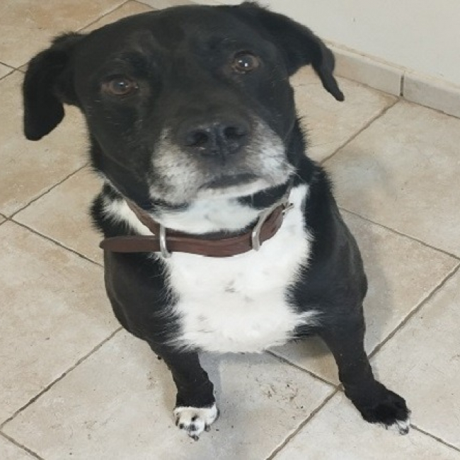 Nash