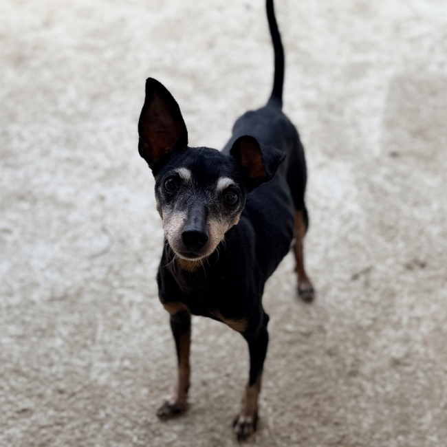 Photo de Faluche et bidouille