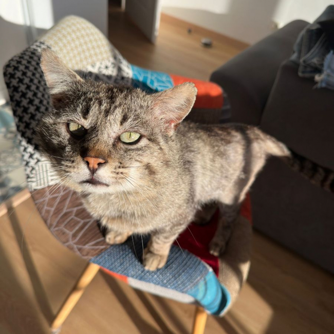 Photo de Jackee