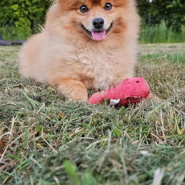 Photo de Kimi 