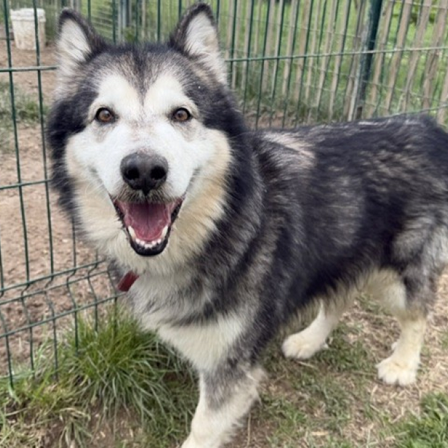 Ragnar