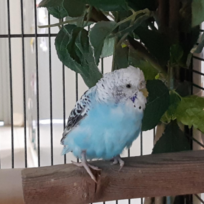 Photo de Cielo