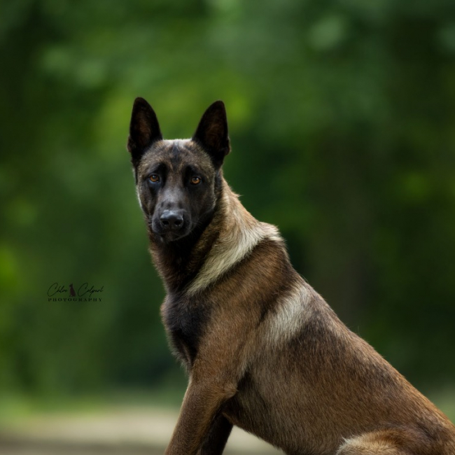 Photo de Athos