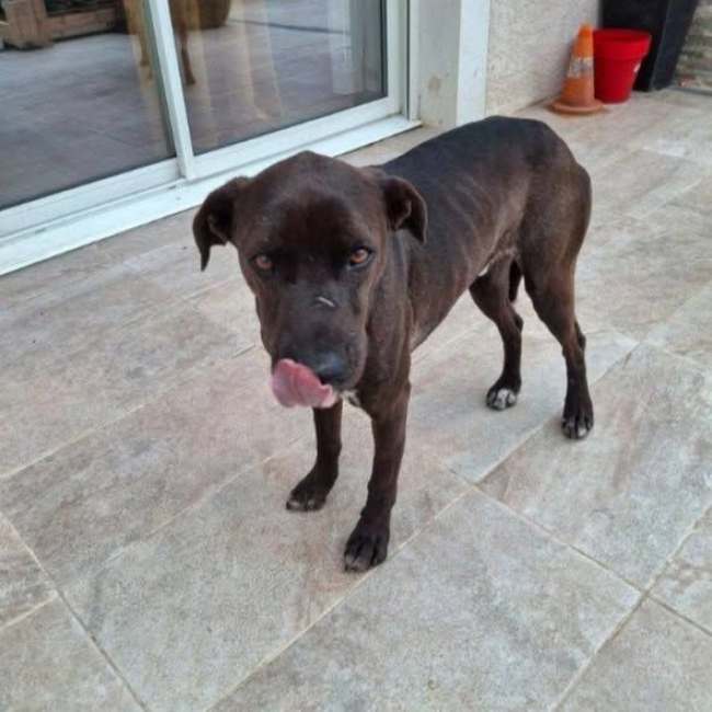 Photo de BOUNTY
