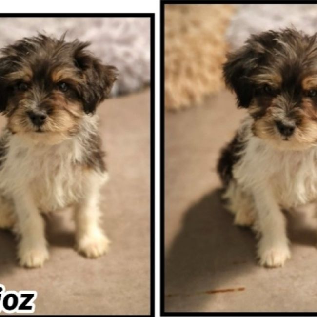 Berlioz